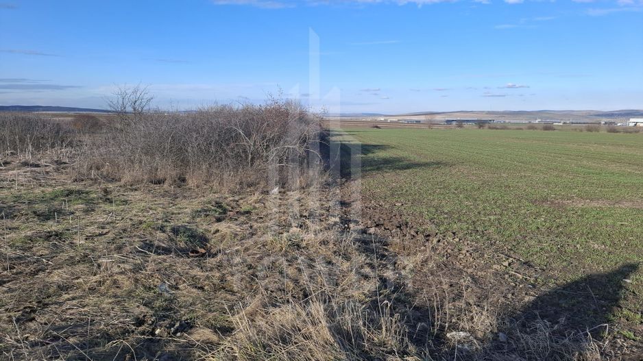 Teren Intravilan de Vânzare – 4300 mp – Cristian, zona Aeroport - Poză 2