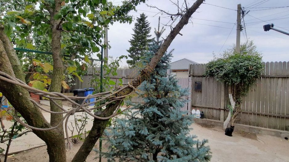 Gospodarie rustica, completa si accesibila în Cobadin - Poză 19