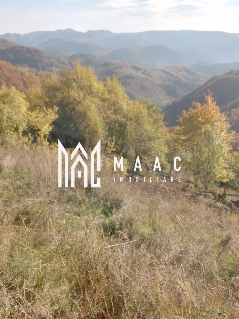 5000 teren in Muntii Apuseni I Pregatit pentru constructie - Poză 5