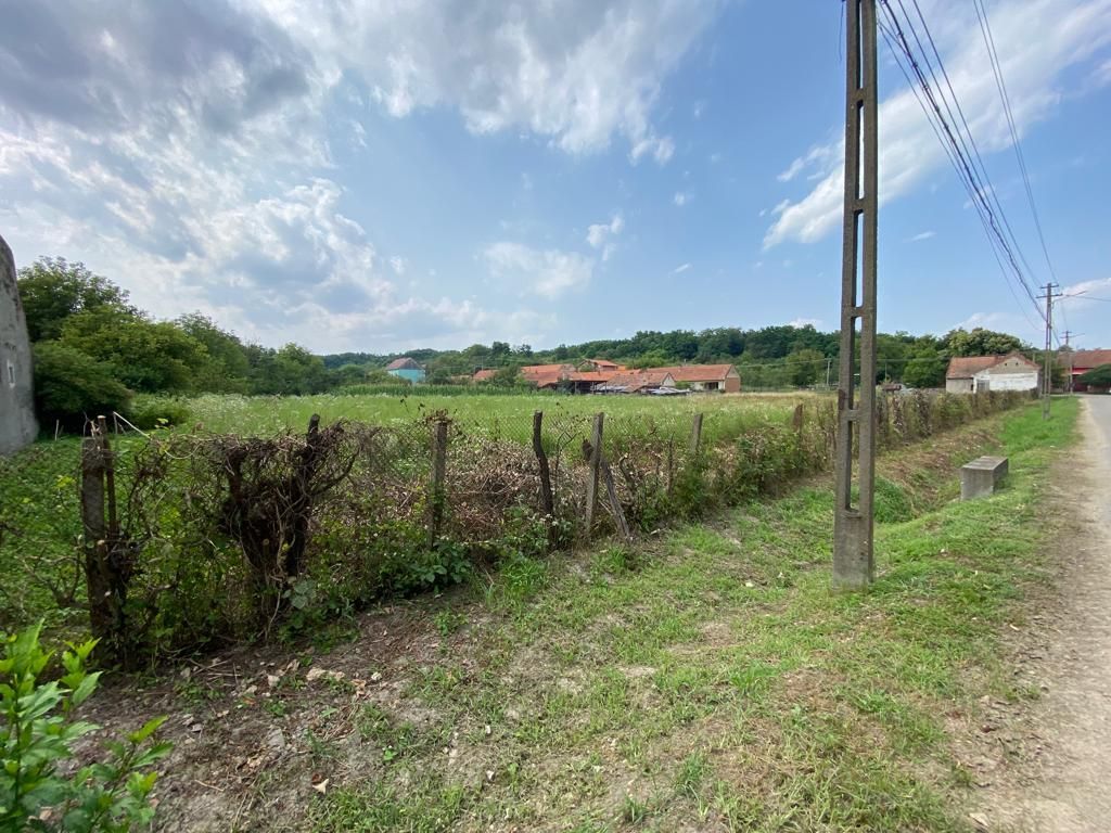 Teren Zgribesti numai 5 euro/mp - Poză 4