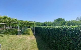 Teren intravilan 2.158 mp - Tropinii Noi, Sibiu | 2 parcele | Zonă Dumbrava - Poză 6