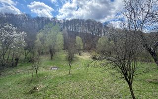 TEREN INTRAVILAN 4365 MP POENARII DE MUȘCEL  JUDEȚUL ARGES - Poză 16