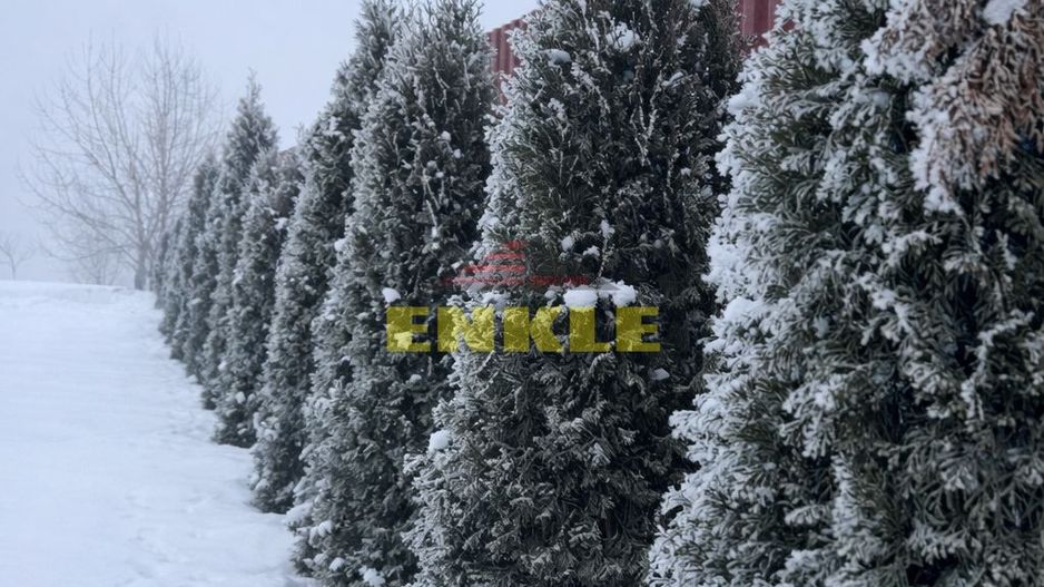 Oportunitate excelentă – teren generos + casă MOBILATĂ UTILATĂ - Poză 7