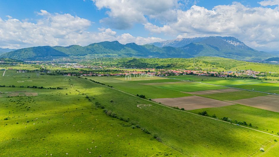 Teren de investiție în zona Tohanul Nou - Bran  5.800 mp - Poză 8