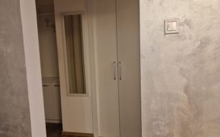 Apartament 2 camere Dristor Park Lake - Poză 13