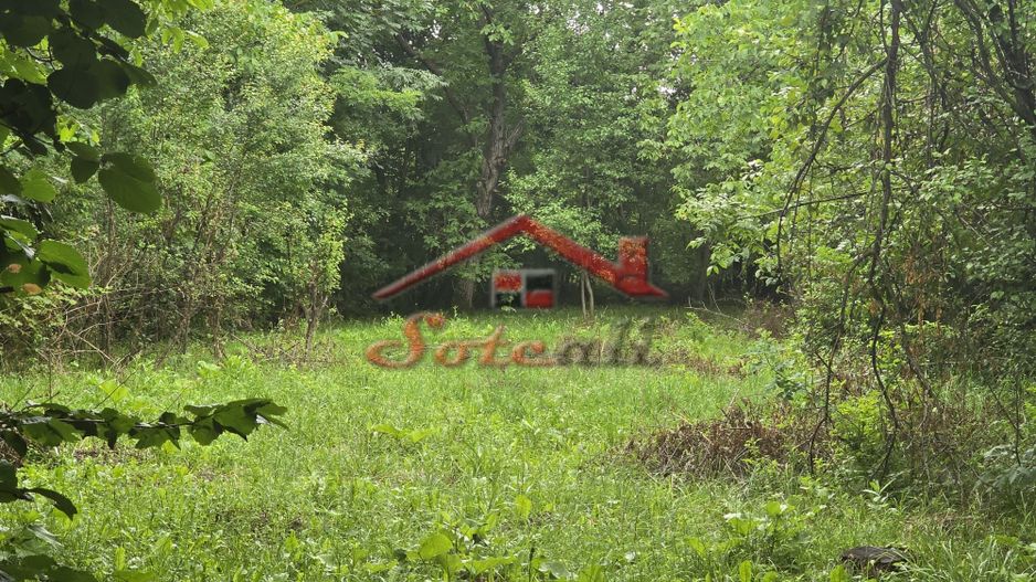 Teren intravilan de vânzare în Cornu de Sus – 1.363 mp fara inclinatie - Poză 3