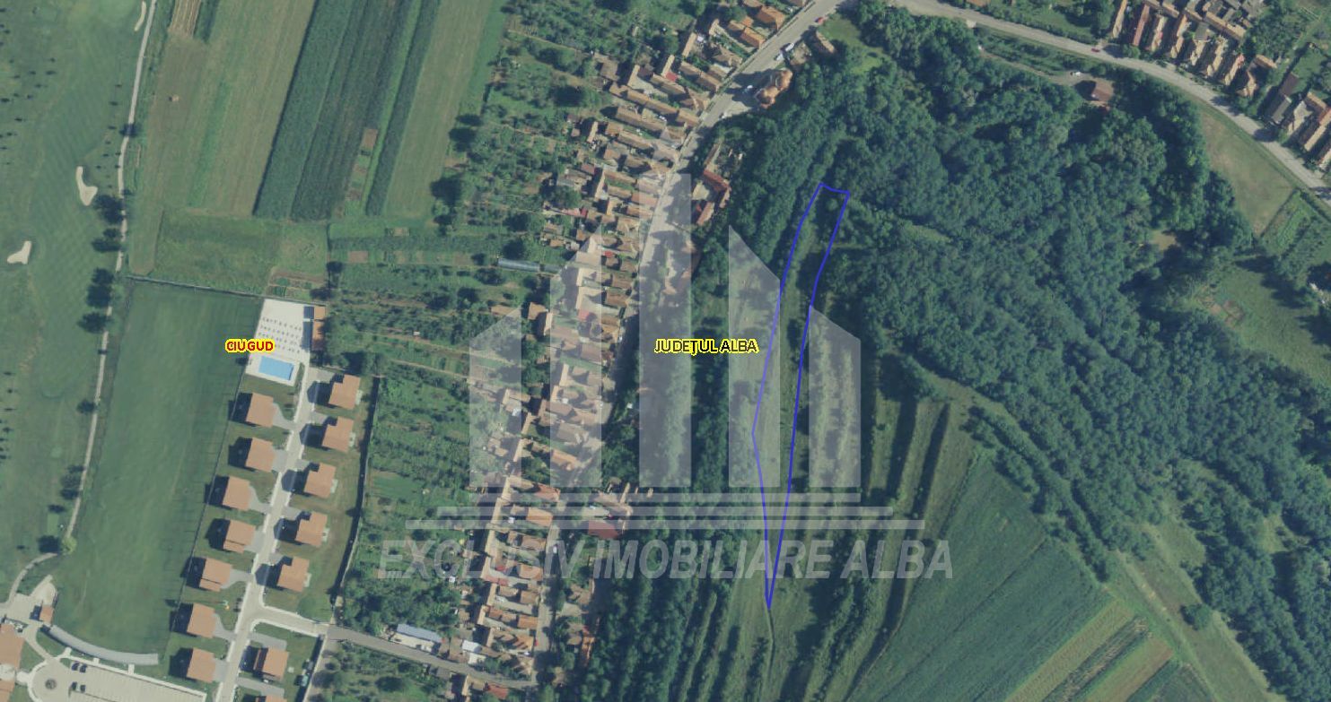 Teren agricol in Teleac - Poză 1