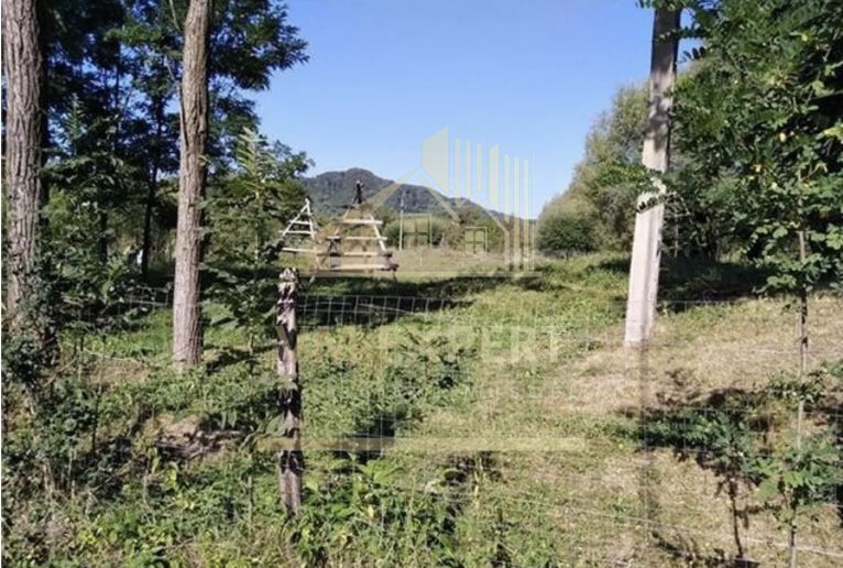 TEREN INTRAVILAN 5000 MP, BRADULET, ARGES - Poză 4