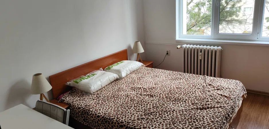Apartament simpatic cu doua camere, zona Pacii - Poză 5