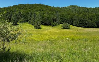 2 Loturi aprox.2200mp 25€/(total 6696mp) Barsa Fierului / Plaiul Foii - Poză 10