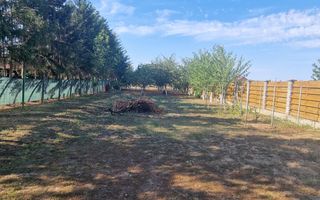 Teren | Santandrei | Drum Privat | Imprejmuit | 2052 mp | Bihor - Poză 4