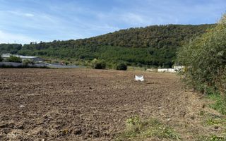 Teren Extravilan, 56 Ari Parcelabil, Viisoara - Poză 2