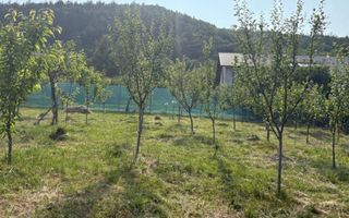 Casa traditionala | Teren 1100 mp | Acces auto | Fantanele - Poză 6