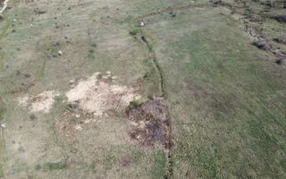 Teren 25.500 mp Valea Avrigului - Poză 4