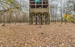 Teren pe malul Muresului- oportunitati multiple - Poză 17