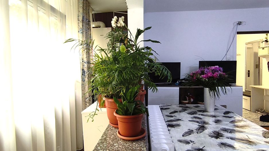 Sagului | 3 camere | 64 mp utili+balcon | centrala proprie | Et. 2\4 - Poză 15