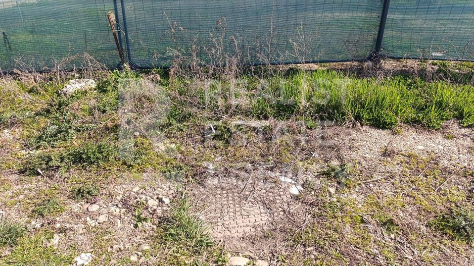 Teren generos 1044 mp aproape de Timișoara – ideal pentru investiție! - Poză 6