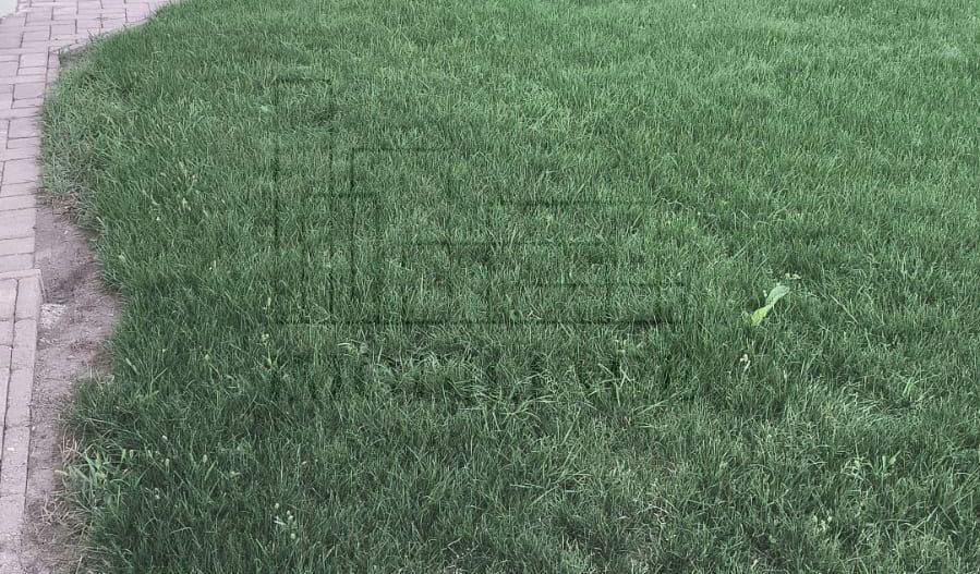 Casă parter cu grădină 500 mp, 6.5 kW fotovoltaice | Corușu - Poză 18