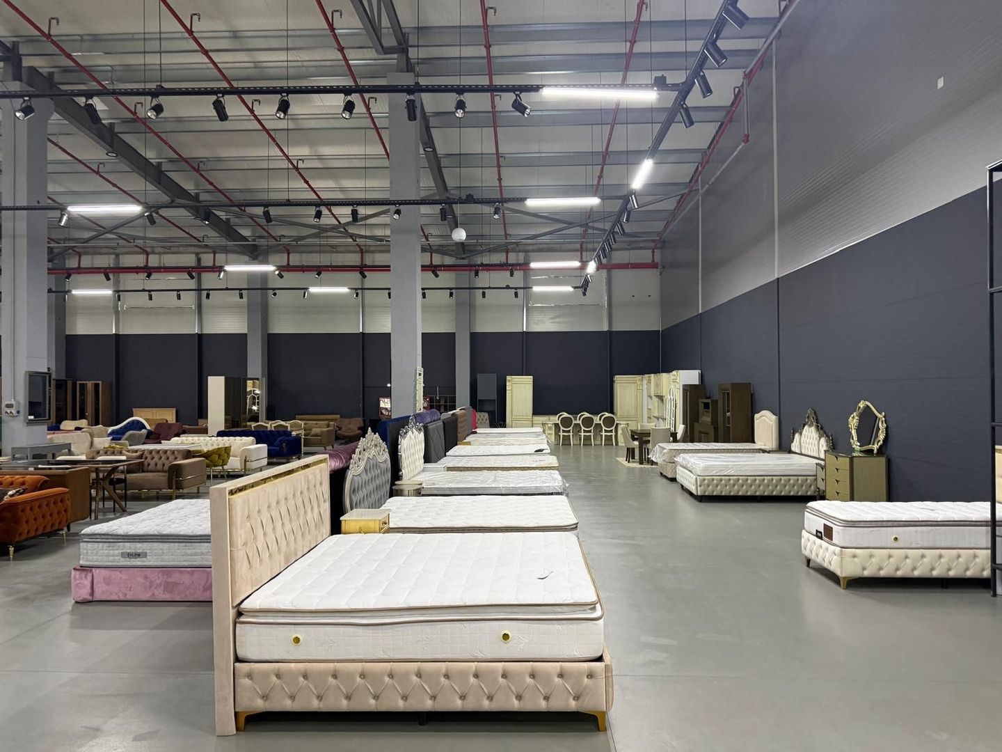 Hala de închiriat – Acces direct Centura București - Poză 13