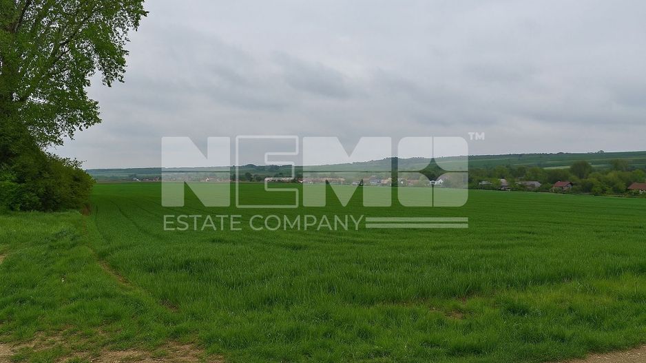 Teren intravilan 3.931 mp | Iacobești | Investiție excelentă - Poză 10