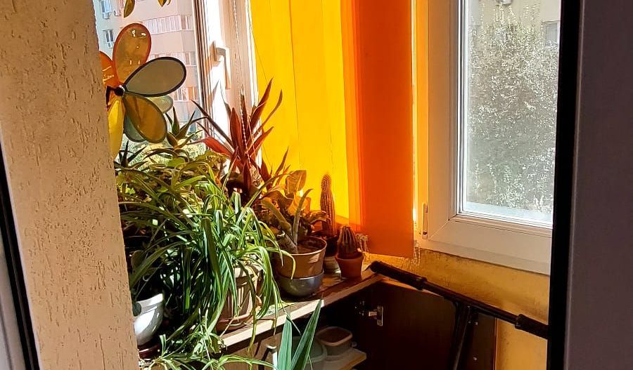 Apartament cochet cu 2 camere - Str.  Soldat Zambila Ionita 3 - Poză 9