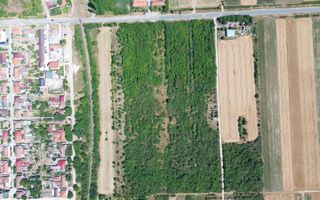 Teren cu livadă – 9.000 mp –la 400 m de ieșirea din Chișinau Cris - Poză 5
