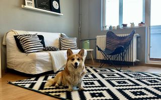 Închiriere Apartament cu 2 camere, Pet Friendly, 2 AC, 7 min metrou Iancului 🏡 - Poză 1