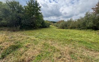 Teren intravilan | UTILITATI | 4717MP | TOCILE - Poză 3