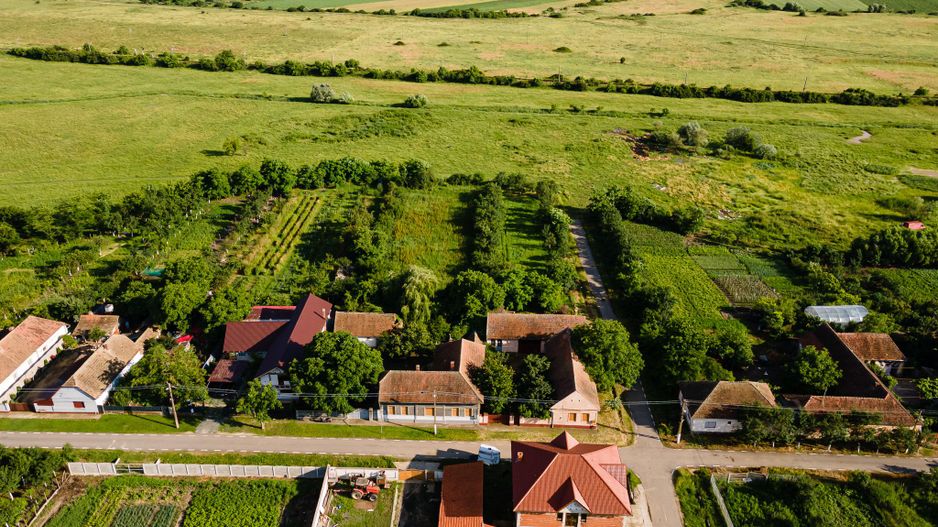 OFERTA VANDUTA  - Casa Izvin | 4 camere - 146 mp | Centrala gaz | Teren 3157 mp - Poză 25