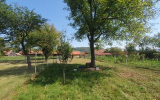 Casă spațioasă de vânzare în comuna Roșia .COMISION 0% - Poză 1