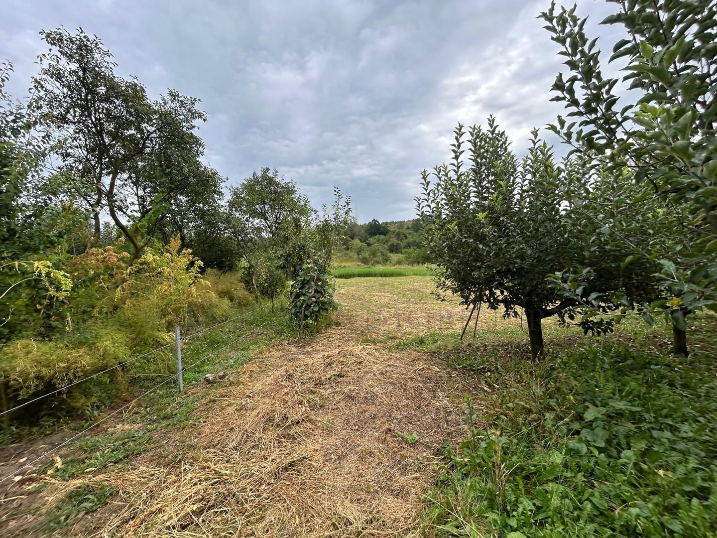 Proprietate de vânzare | 15 km de Onești, DN11 – direcția Bacău - Poză 8