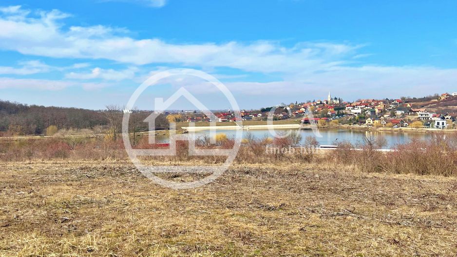 Teren 10.071 mp de vanzare in Paleu, Bihor - Poză 2