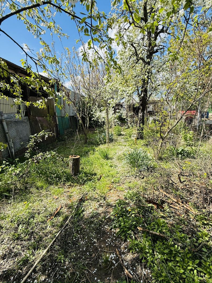 Ciarda Roșie | 2 case în curte | Teren 700 mp | Garaj | Toate utilitățile - Poză 8