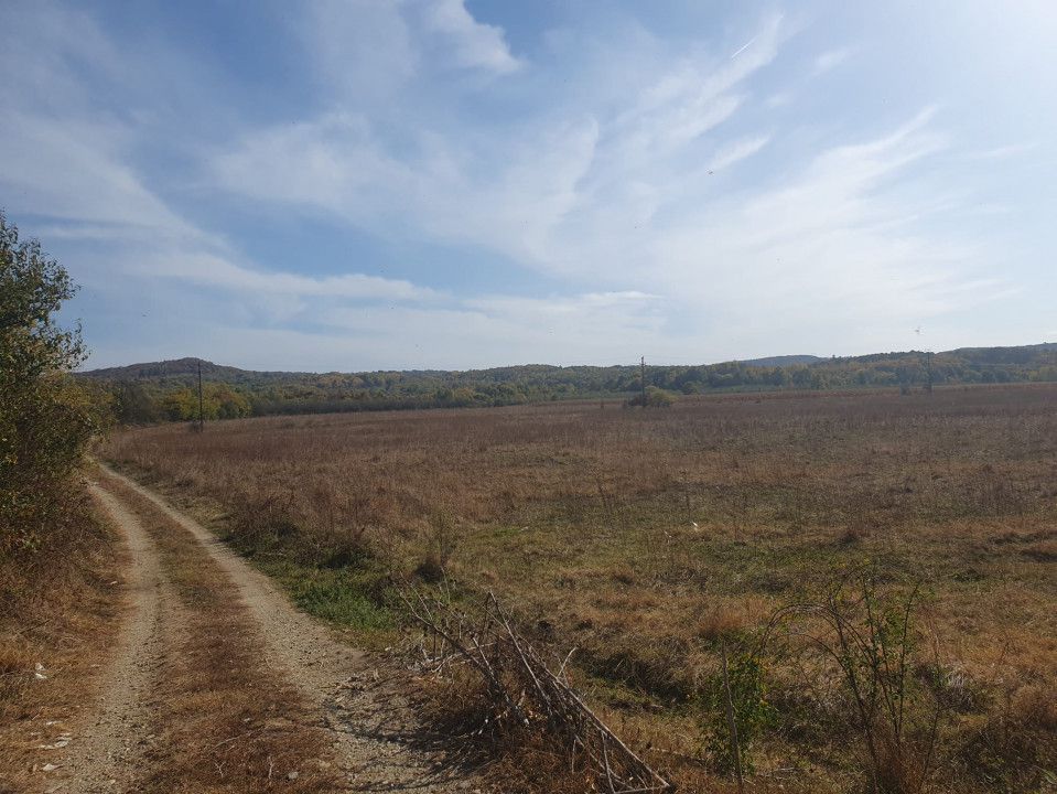 Vanzare teren arabil 22 Ha, plan, Arges, Moraresti - Poză 4