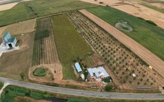 Livadă de 3,6 hectare în Iratoșu – Oportunitate - Poză 4