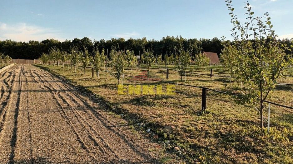 Teren intravilan 8300 mp la Agafton - Poză 1
