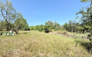 Casa 3 camere, sat Nicolae Balcescu, comision 0% - Poză 28