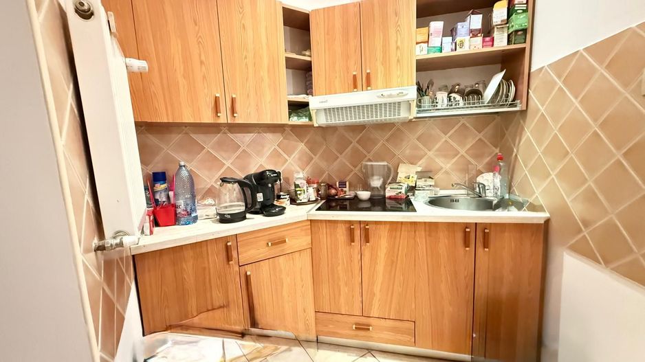 APARTAMENT 2 CAMERE IN VILA ‖ GRADINA ICOANEI - Poză 4