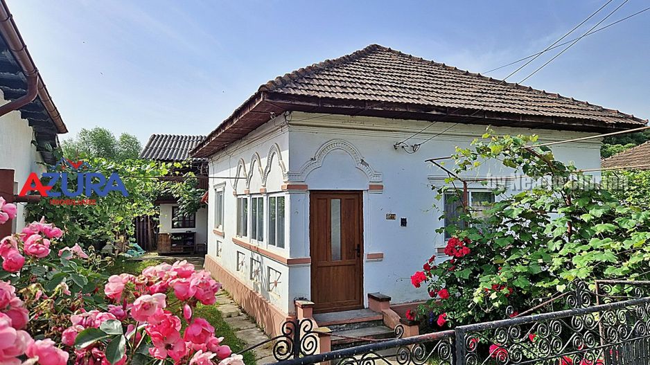 AZURA Imobiliare - Casa Merisani zona Primarie, Panouri fotovoltaice - Poză 27