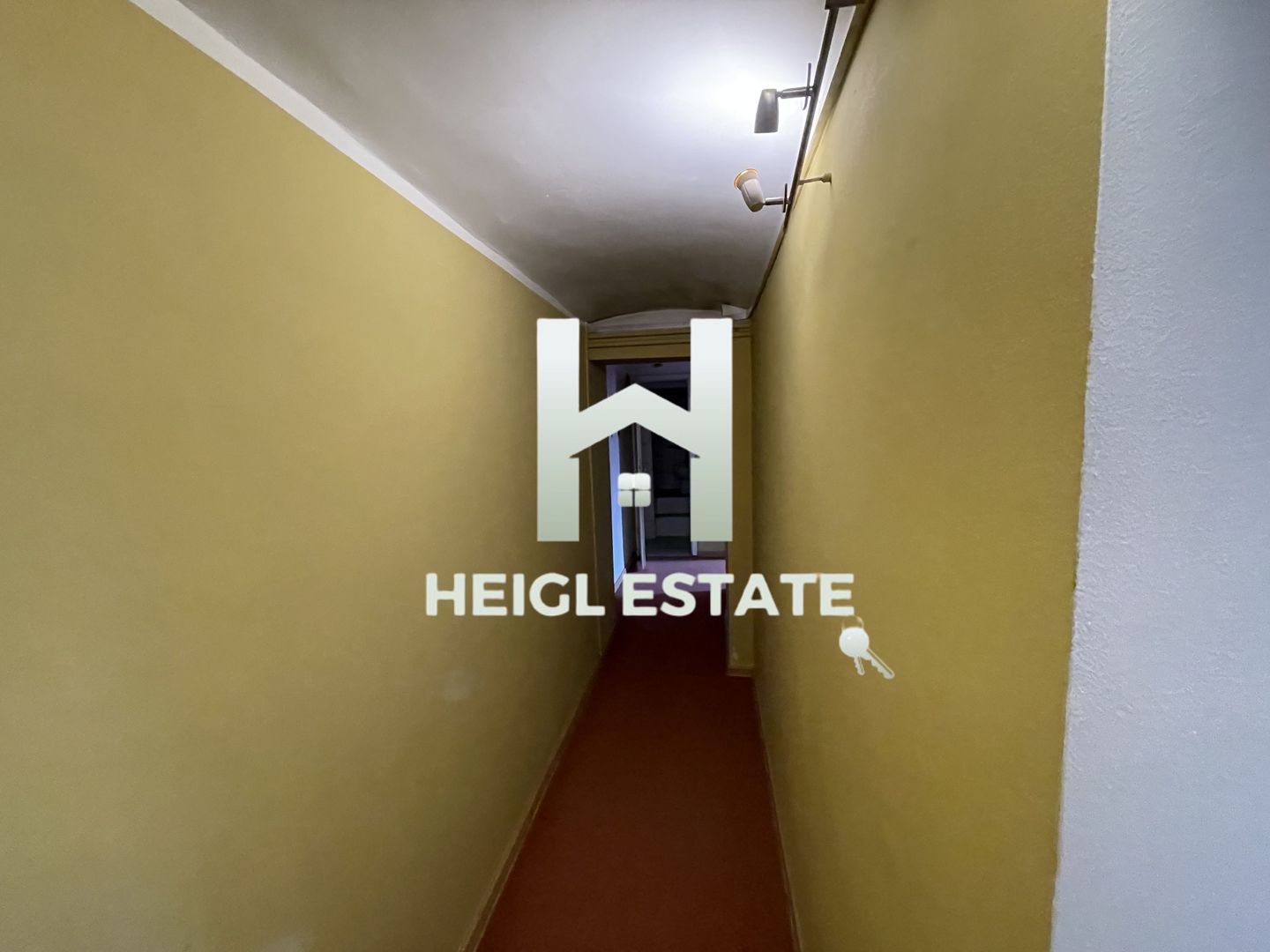 Spatiu comercial in zona Elisabetin - Poză 6