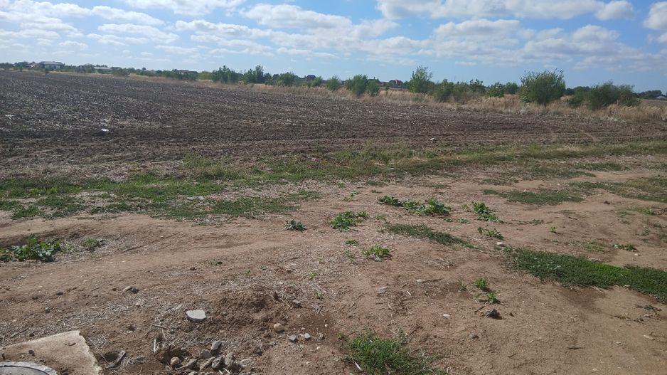 Teren de vanzare 4500mp Strada Rasaritului Darvari Ciorogarla A0 - Poză 3
