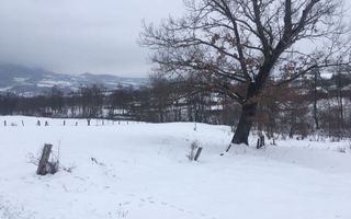 Teren Intravilan 720 mp. Bistra Muresului - Poză 1