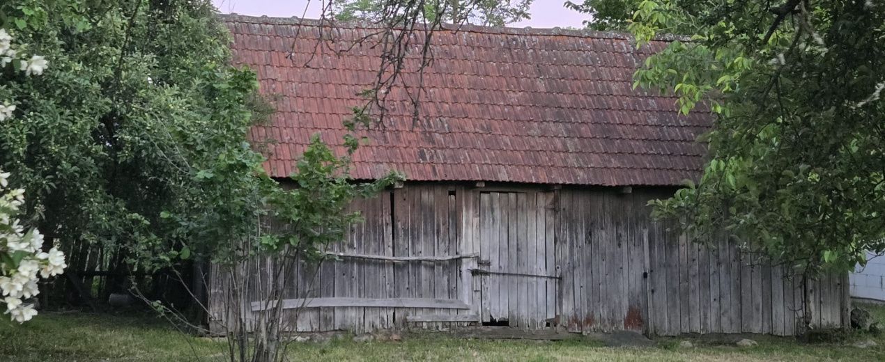 Casă cu 7.769 mp teren și pădure | Budieni | 53.000€ - Poză 11