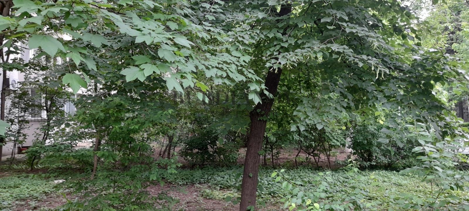 Apartament cu 3 camere de închiriat pentru 2 persoane - Metrou Titan - Poză 4