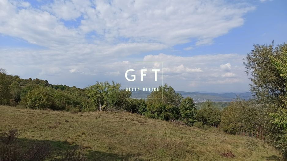 Teren  42,200 mp (4,22 hectare)-Parcelabil-investitie-Valea Jelnei - Poză 4