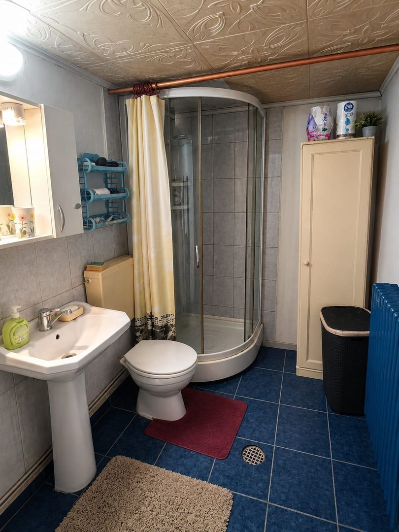 Casă de vanzare cu 4 camere 107 mpu pivnita anexe curte gradina Sebes - Poză 7