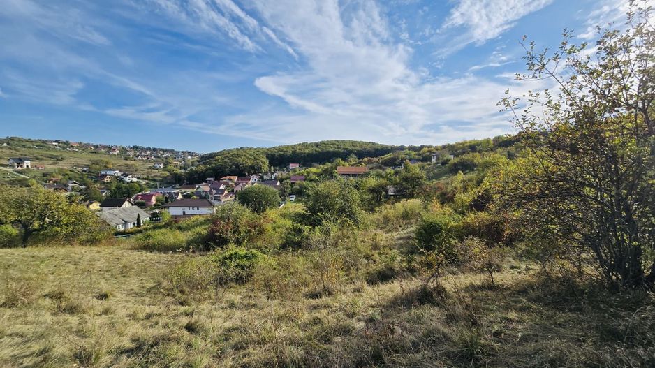 Teren de vanzare,16000 mp - parcelabil, 3 minute de centru! - Poză 8