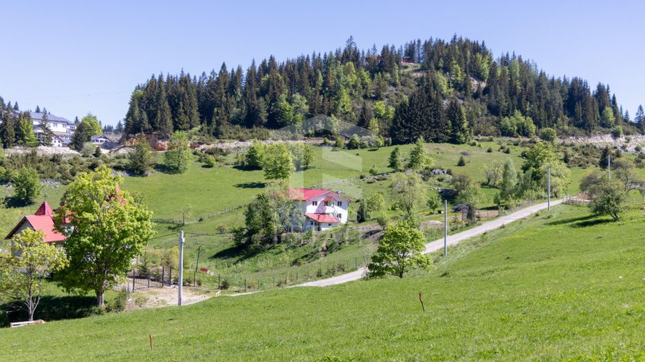 Fundata-Teren de vanzare 15,771 mp intravilan+extravilan+padure - Poză 8
