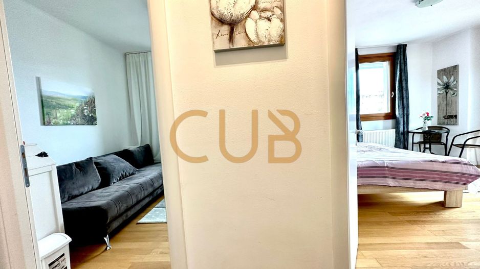 Fructus Plaza -3cam mobilat+utilat |bloc nou, centrala, lift | CENTRAL - Poză 5