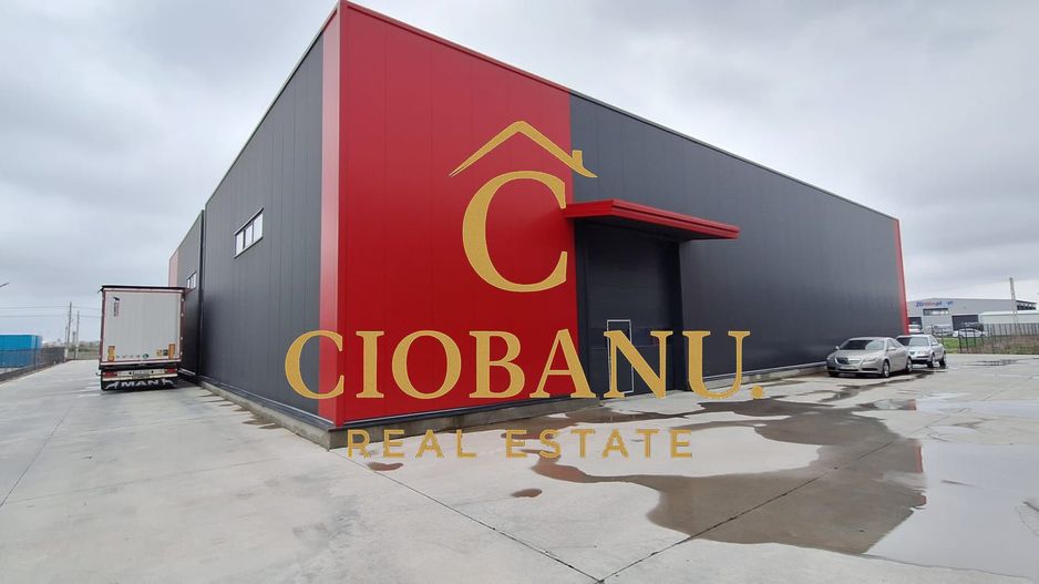 Hale industriale+Cladire de Birouri de inchiriat zona Aeroport - Poză 18
